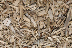 biomass boilers Melin Y Wig